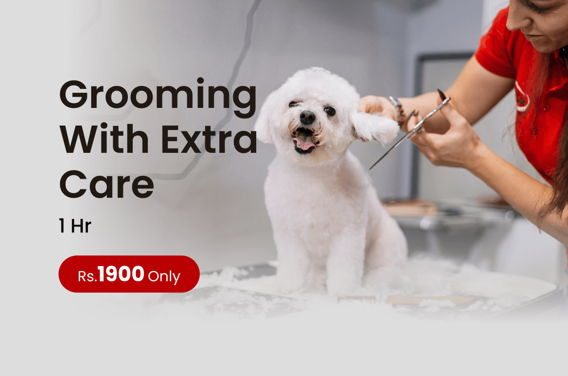 MonikaPetClinicandPetGrooming