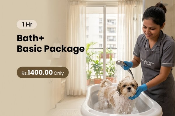 MonikaPetClinicandPetGrooming