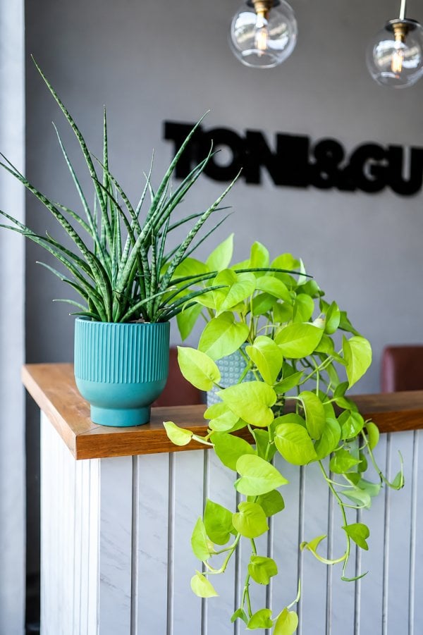 ToniandGuyKalamassery