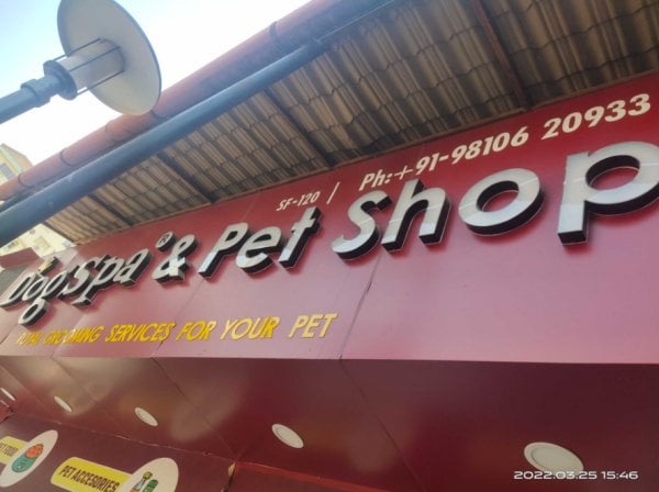 DogSpaPetShop