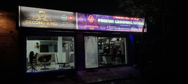 phoenixgroomingstudio