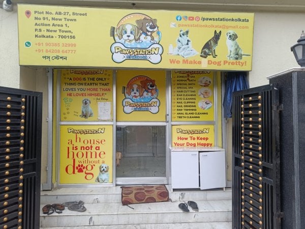 Pawsstation