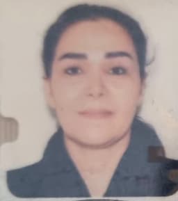 Masi Masi